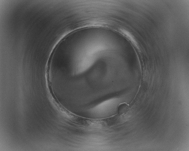 X0000075810899200609151143