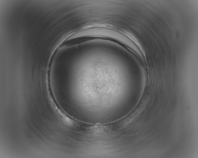 X0000075810906200609151143