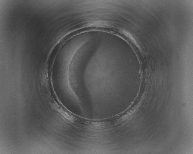 X0000075810923200609151142