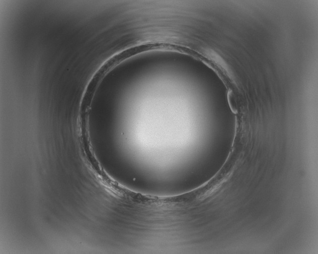 X0000075810924200609151142