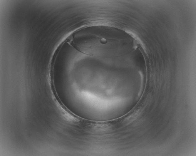X0000075810941200609151143