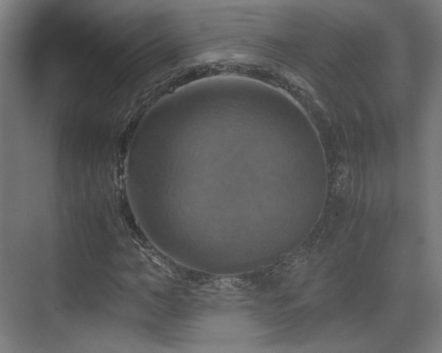 X0000075810966200609151142