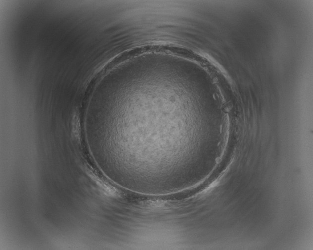 X0000075810969200609151142