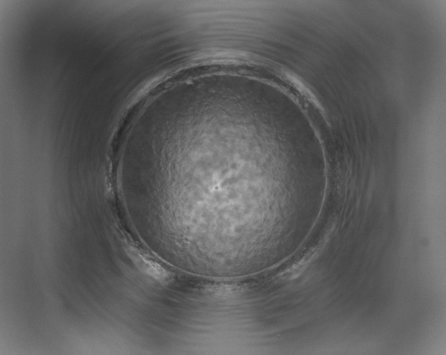 X0000075810970200609151142