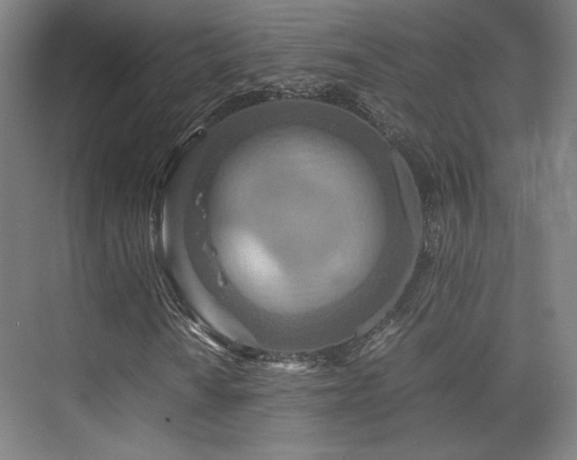 X0000075811010200609151141