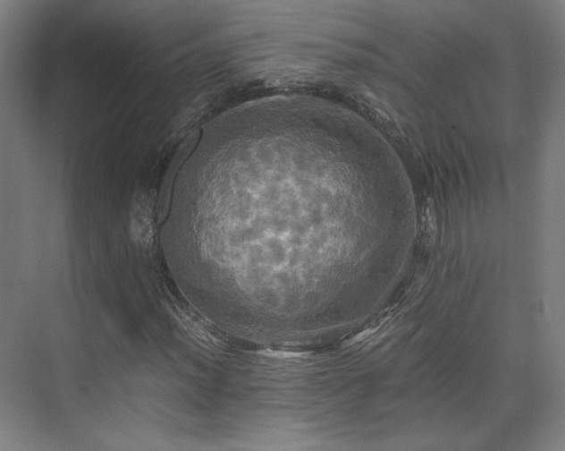 X0000075811012200609151141