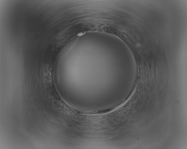 X0000075811013200609151141