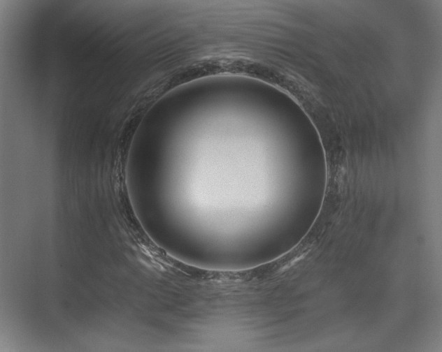 X0000075811014200609151141