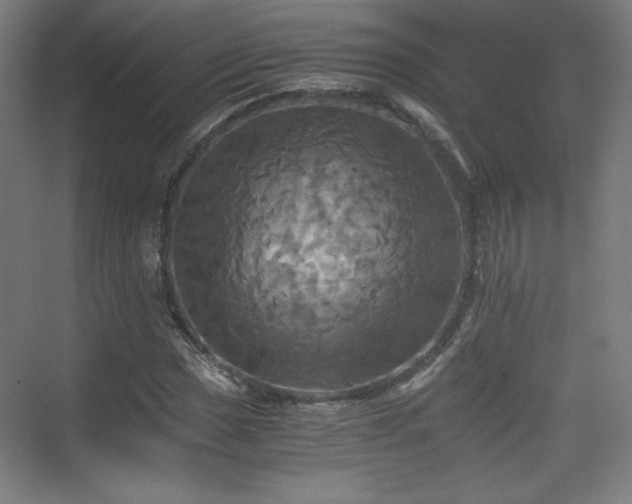 X0000075811017200609151141