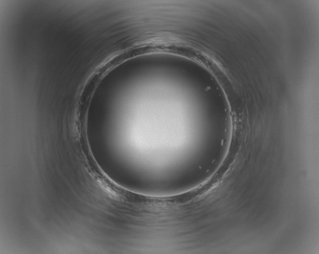 X0000075811018200609151141