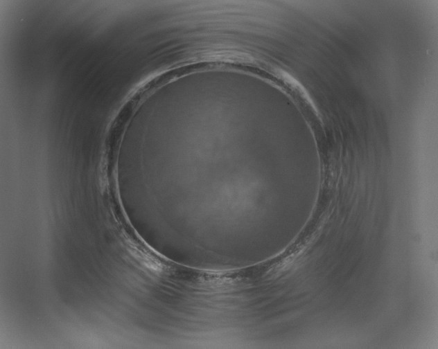 X0000075811019200609151141