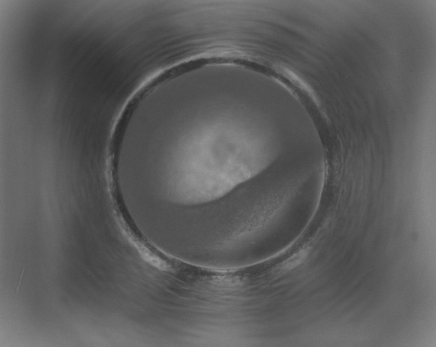 X0000075811029200609151141