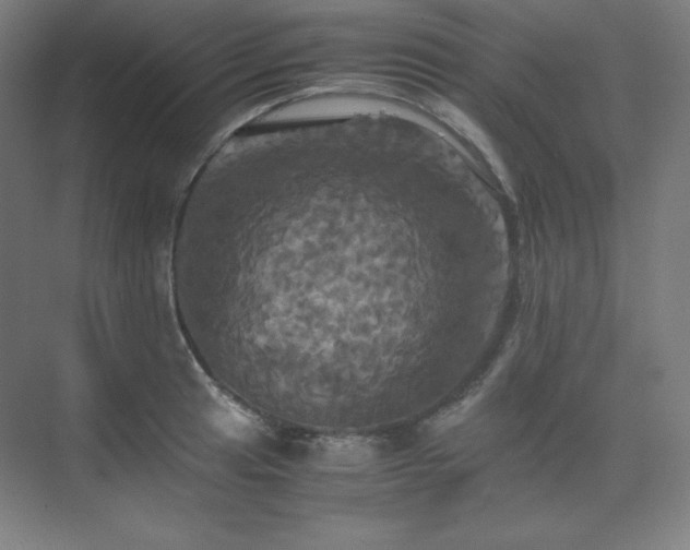 X0000075811041200609151141