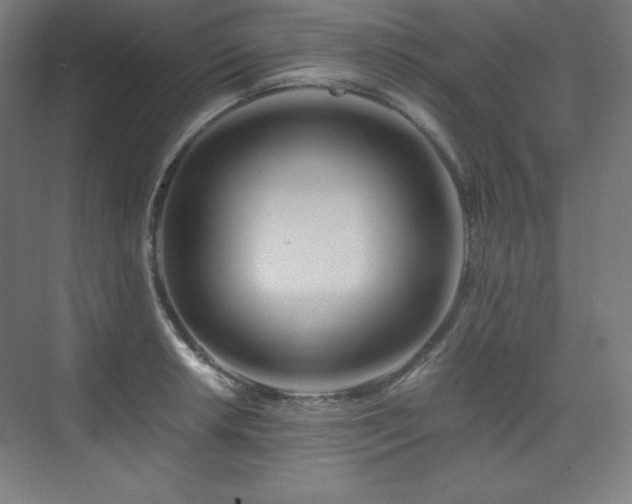 X0000075811042200609151141