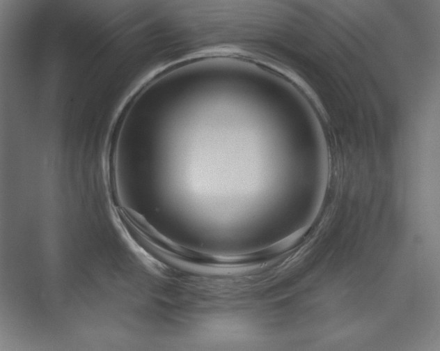 X0000075811054200609151141