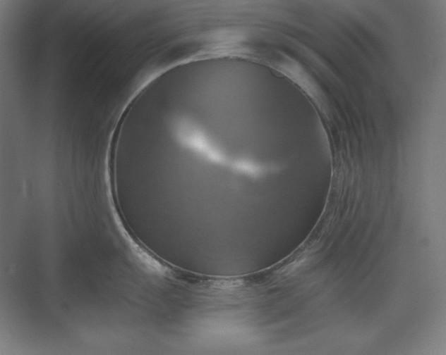 X0000075811055200609151141