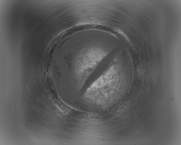 X0000075811064200609151141