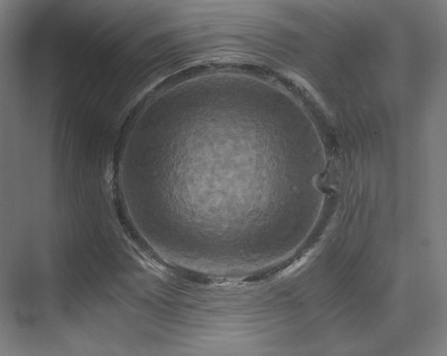 X0000075811065200609151141