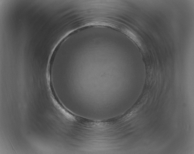 X0000075811084200609151140