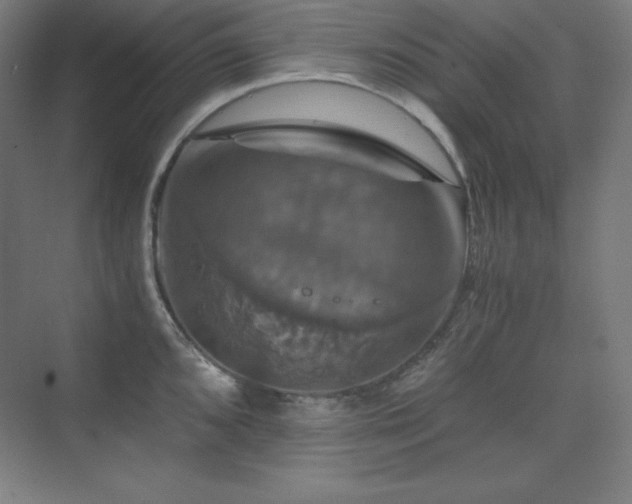 X0000075811096200609151140