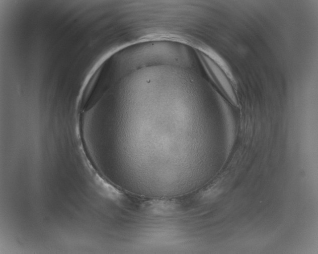 X0000075811102200609151140