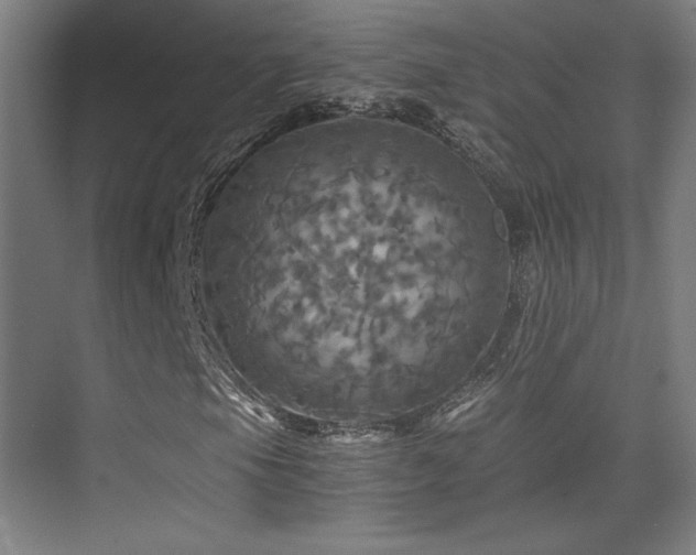 X0000075811105200609151139