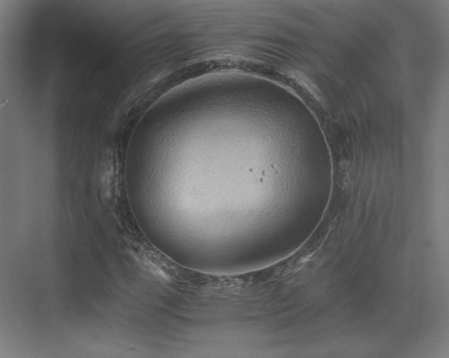 X0000075811111200609151139