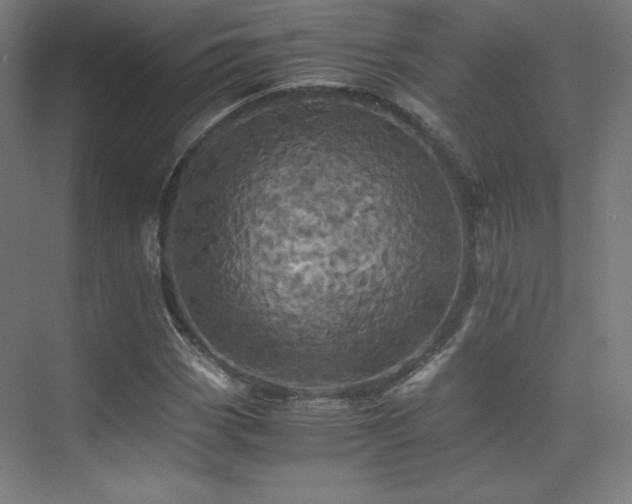 X0000075811113200609151139