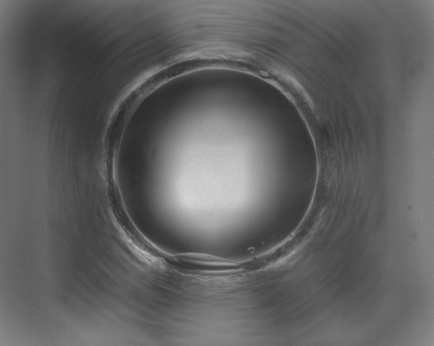X0000075811114200609151139