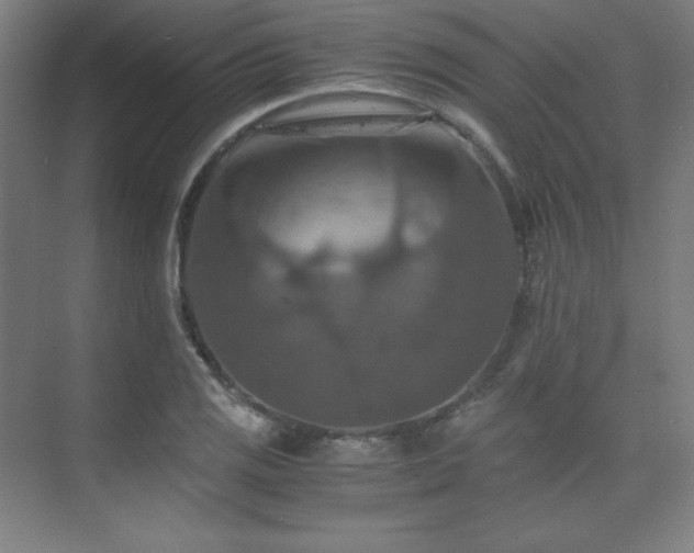 X0000075811125200609151139