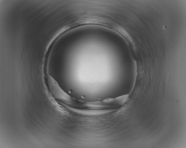 X0000075811138200609151140