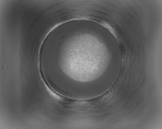 X0000075811143200609151140