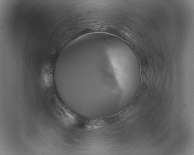 X0000075811154200609151139