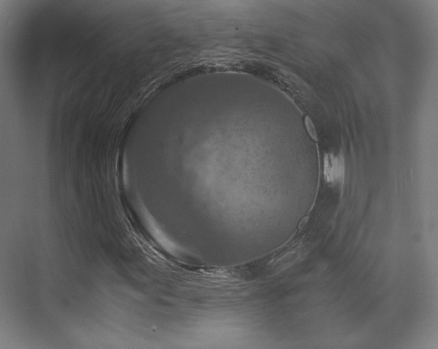 X0000075811155200609151139