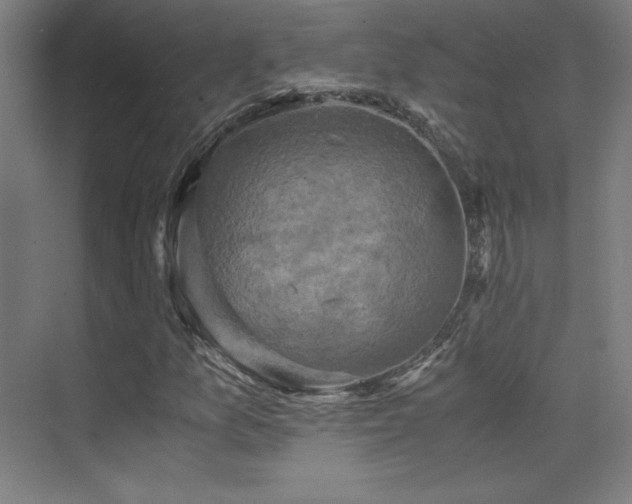 X0000075811157200609151139