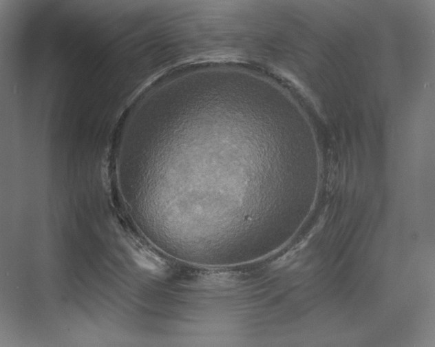 X0000075811162200609151139