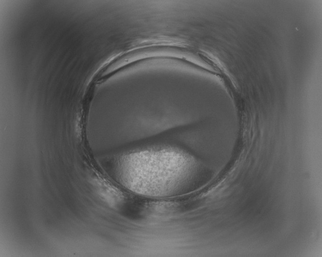 X0000075811163200609151139