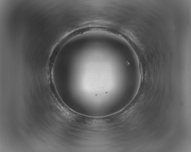 X0000075811164200609151139