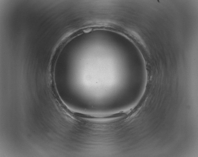 X0000075811172200609151139