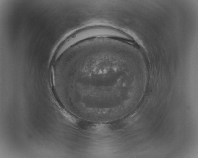 X0000075811175200609151139