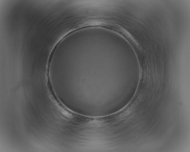 X0000075811178200609151139
