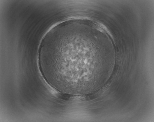 X0000075811187200609151138