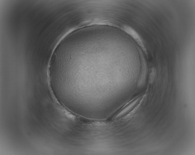 X0000075811190200609151138