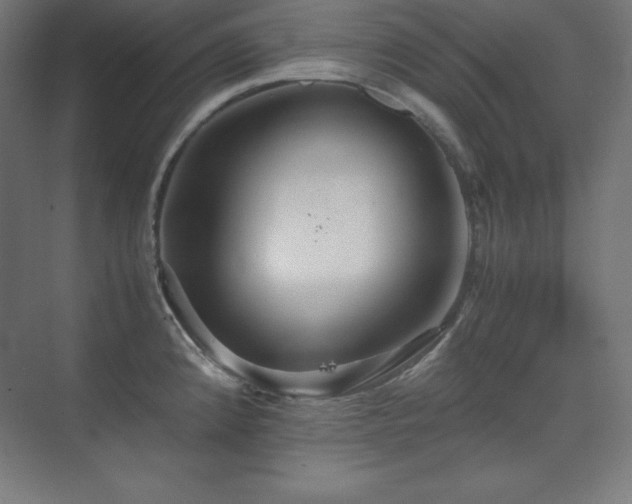 X0000075811192200609151138