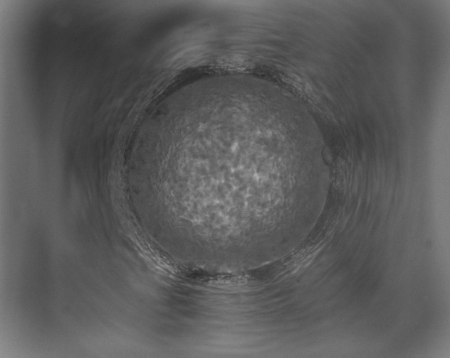 X0000075811201200609151137
