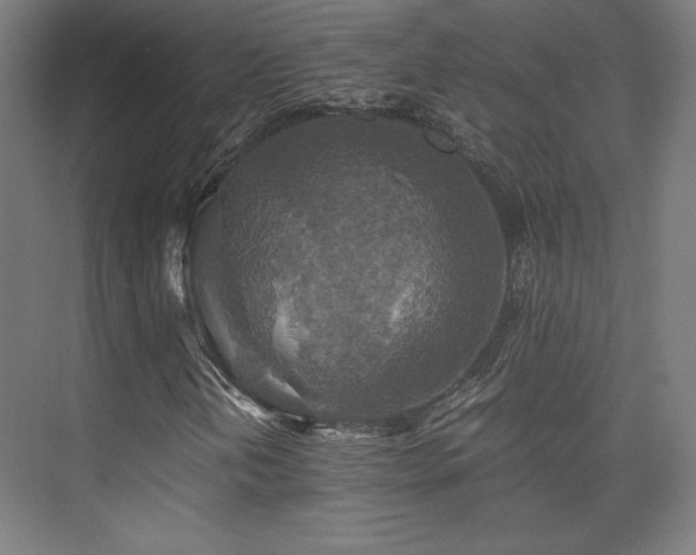 X0000075811202200609151137