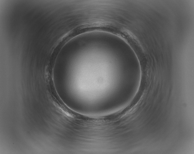 X0000075811210200609151138