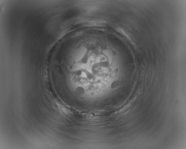 X0000075811211200609151138
