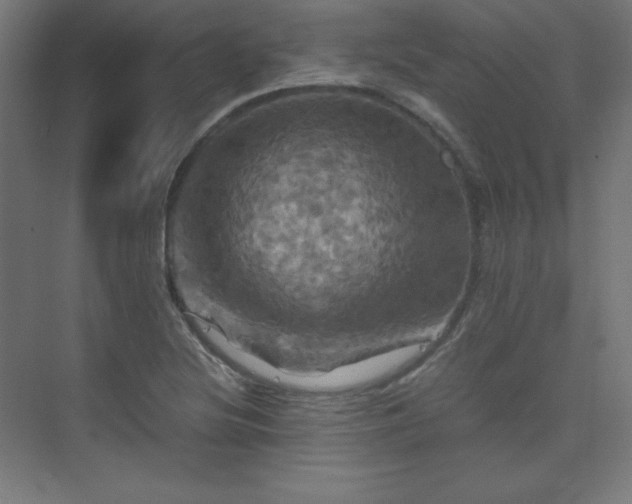 X0000075811220200609151138
