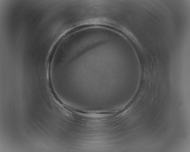 X0000075811224200609151138